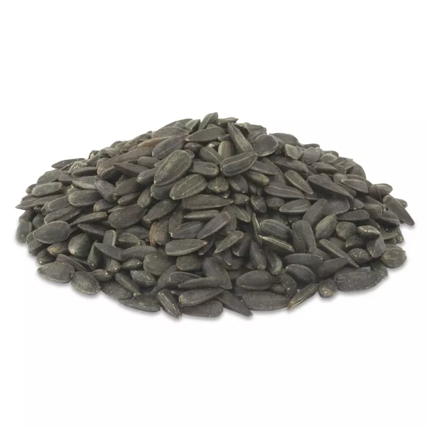 Some sunflower seeds